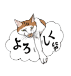 にゃんズからの優しい言葉（個別スタンプ：3）