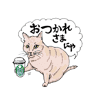 にゃんズからの優しい言葉（個別スタンプ：6）