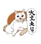 にゃんズからの優しい言葉（個別スタンプ：9）
