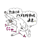 にゃんズからの優しい言葉（個別スタンプ：14）