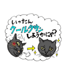 にゃんズからの優しい言葉（個別スタンプ：16）