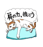 にゃんズからの優しい言葉（個別スタンプ：18）