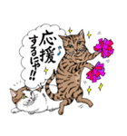 にゃんズからの優しい言葉（個別スタンプ：25）