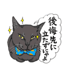 にゃんズからの優しい言葉（個別スタンプ：28）