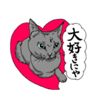 にゃんズからの優しい言葉（個別スタンプ：30）