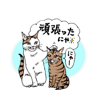 にゃんズからの優しい言葉（個別スタンプ：32）