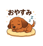 カニンヘンダックスフンドのまいにち（個別スタンプ：3）