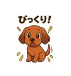 カニンヘンダックスフンドのまいにち（個別スタンプ：8）