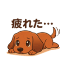 カニンヘンダックスフンドのまいにち（個別スタンプ：9）