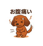 カニンヘンダックスフンドのまいにち（個別スタンプ：14）