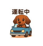 カニンヘンダックスフンドのまいにち（個別スタンプ：18）