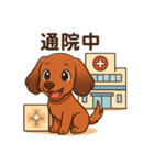 カニンヘンダックスフンドのまいにち（個別スタンプ：22）