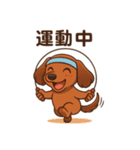 カニンヘンダックスフンドのまいにち（個別スタンプ：23）