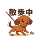 カニンヘンダックスフンドのまいにち（個別スタンプ：24）