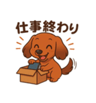 カニンヘンダックスフンドのまいにち（個別スタンプ：25）