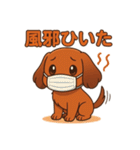 カニンヘンダックスフンドのまいにち（個別スタンプ：26）