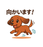 カニンヘンダックスフンドのまいにち（個別スタンプ：28）
