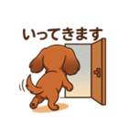 カニンヘンダックスフンドのまいにち（個別スタンプ：33）