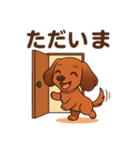 カニンヘンダックスフンドのまいにち（個別スタンプ：34）