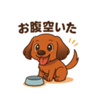 カニンヘンダックスフンドのまいにち（個別スタンプ：37）