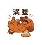 カニンヘンダックスフンドのまいにち（個別スタンプ：38）