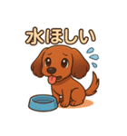 カニンヘンダックスフンドのまいにち（個別スタンプ：39）