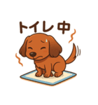 カニンヘンダックスフンドのまいにち（個別スタンプ：40）