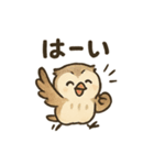 ほっこり猛禽類スタンプ（個別スタンプ：1）