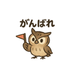 ほっこり猛禽類スタンプ（個別スタンプ：8）