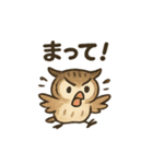 ほっこり猛禽類スタンプ（個別スタンプ：9）