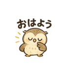 ほっこり猛禽類スタンプ（個別スタンプ：11）