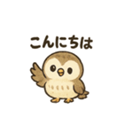 ほっこり猛禽類スタンプ（個別スタンプ：22）