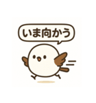 シマエナガのほっこりトーク（個別スタンプ：12）