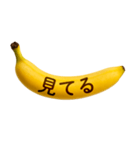 バナナメッセージ-日常1（個別スタンプ：18）