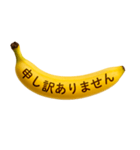 バナナメッセージ-日常1（個別スタンプ：31）