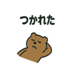 シュールなくまの日常スタンプ（個別スタンプ：9）