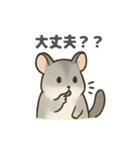 ちびっこげっ歯類の日常（個別スタンプ：36）