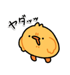 まめぴよLINEスタンプ（個別スタンプ：4）