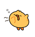 まめぴよLINEスタンプ（個別スタンプ：6）