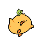 まめぴよLINEスタンプ（個別スタンプ：16）