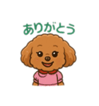 一日中使えるトイプードル基本の会話集（個別スタンプ：4）