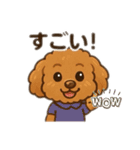 一日中使えるトイプードル基本の会話集（個別スタンプ：6）