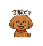 一日中使えるトイプードル基本の会話集（個別スタンプ：10）