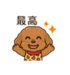 一日中使えるトイプードル基本の会話集（個別スタンプ：14）