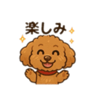 一日中使えるトイプードル基本の会話集（個別スタンプ：15）