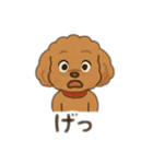 一日中使えるトイプードル基本の会話集（個別スタンプ：19）
