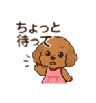 一日中使えるトイプードル基本の会話集（個別スタンプ：20）
