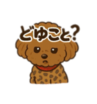 一日中使えるトイプードル基本の会話集（個別スタンプ：21）