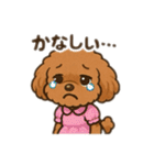 一日中使えるトイプードル基本の会話集（個別スタンプ：23）