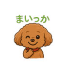 一日中使えるトイプードル基本の会話集（個別スタンプ：29）
